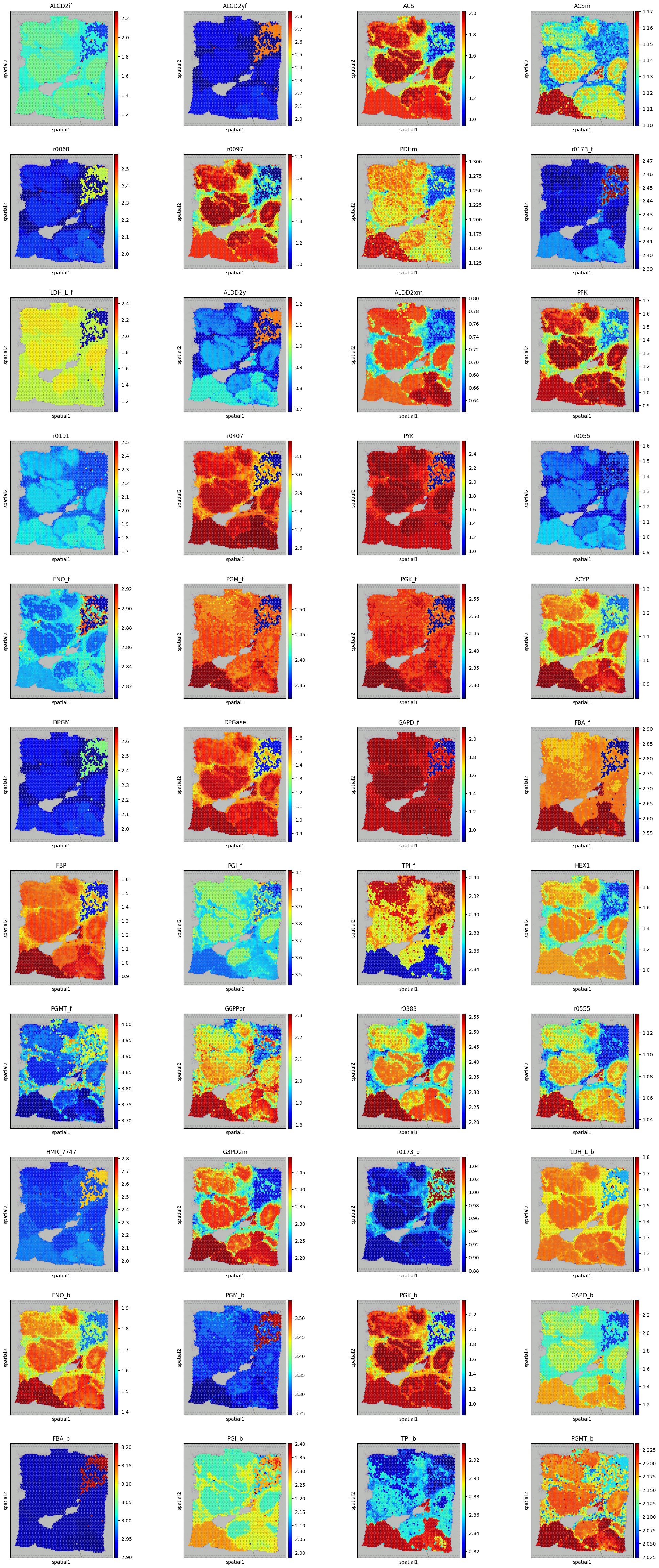 _images/Metabolic_visualisations_11_1.png