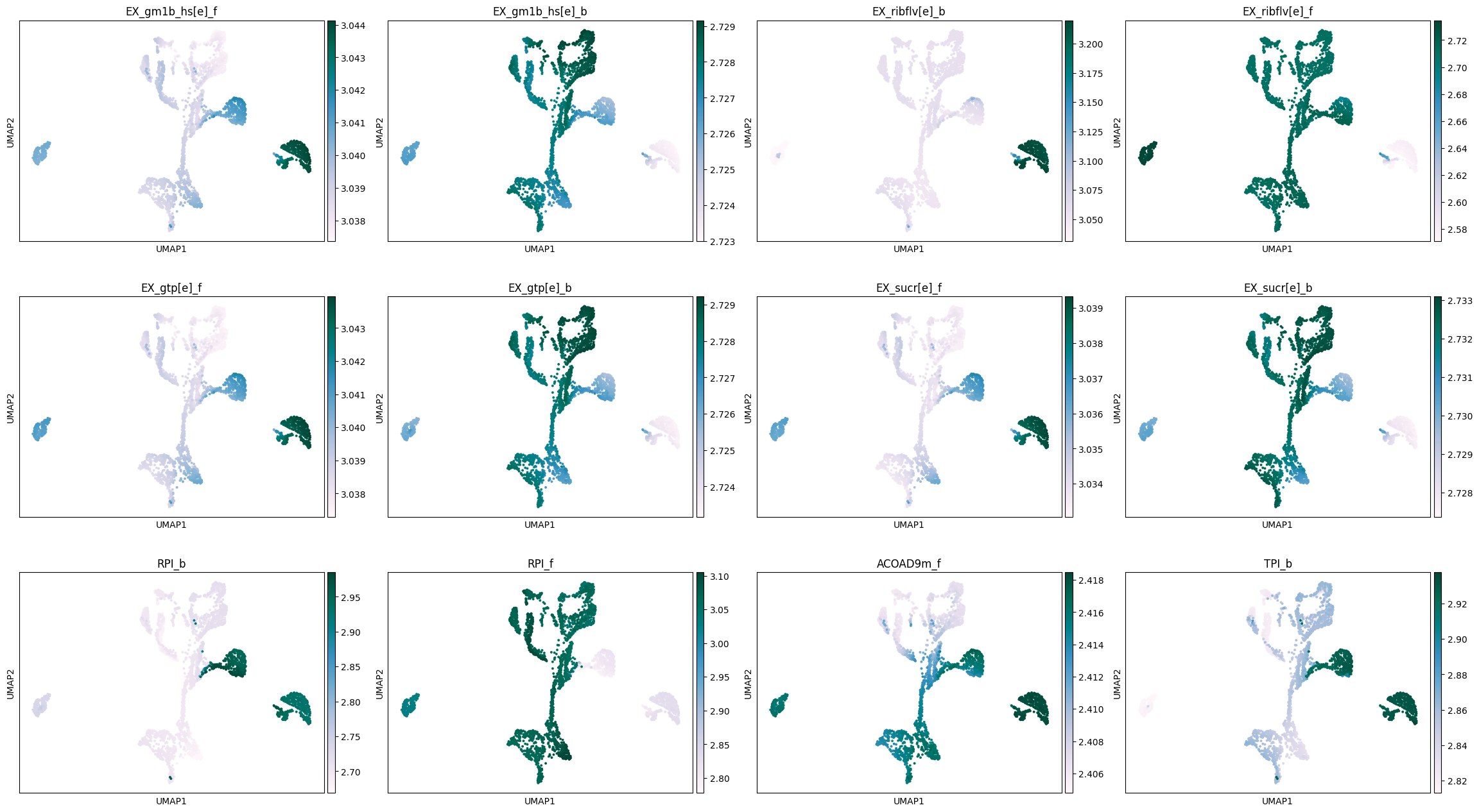 _images/Metabolic_visualisations_9_1.png