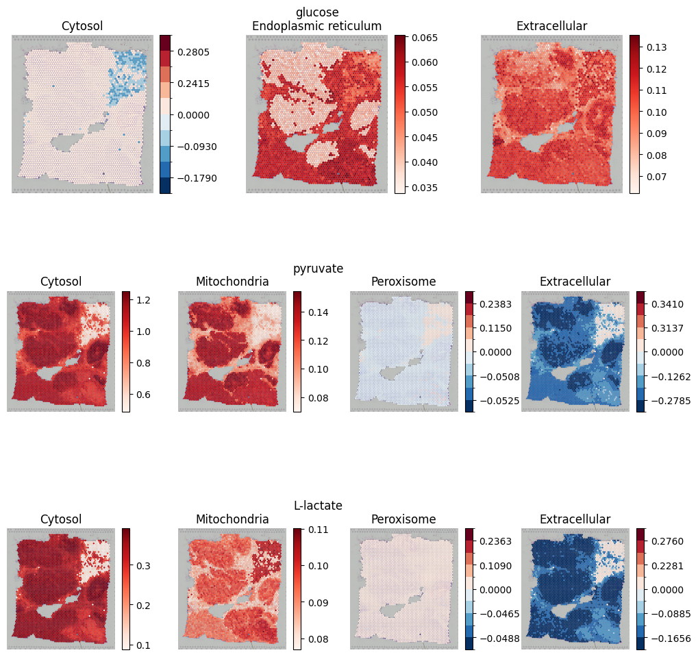 _images/Metabolite_analysis_7_0.png
