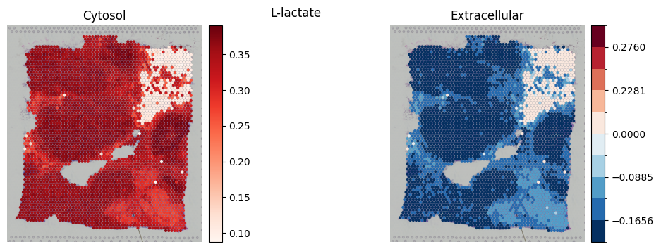 _images/Metabolite_analysis_9_0.png